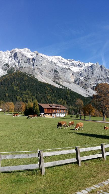Alpenhaus Birkhahn Hotel Ramsau am Dachstein Ngoại thất bức ảnh